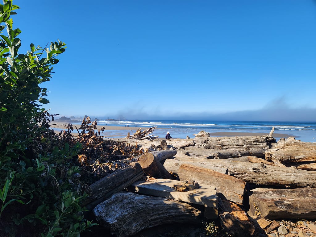 Ecola State Park near Cannon Beach, Oregon