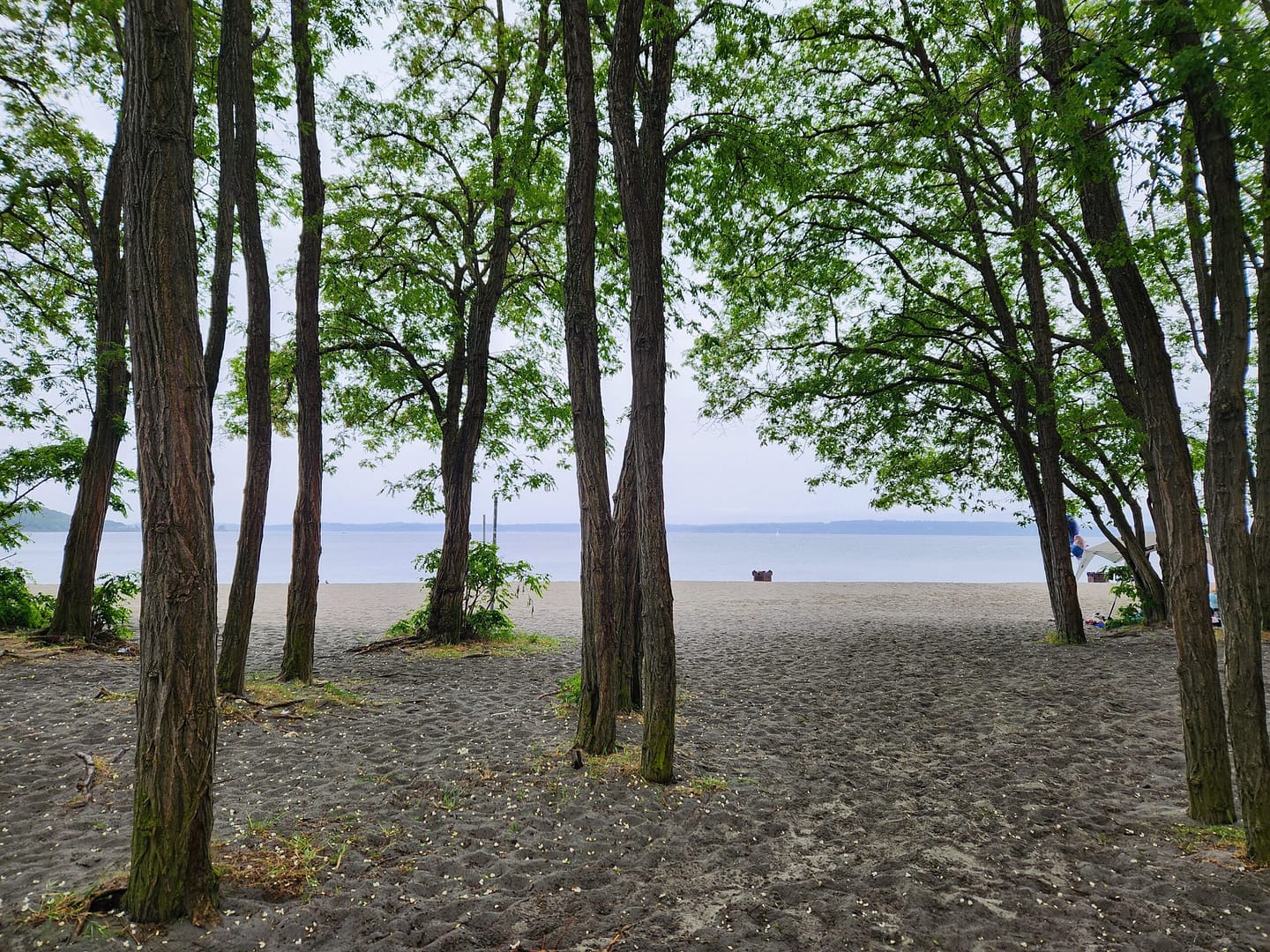 Seattle Parks: Perfect Spots for Family Fun and Adventure