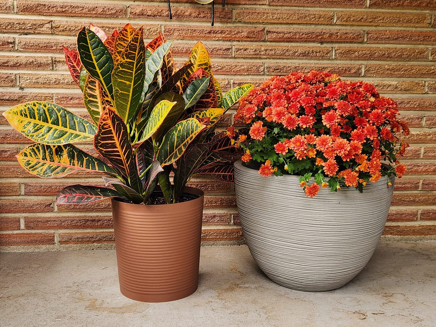 Fall Porch Refresh: Simple Steps to Welcome the Fall Season