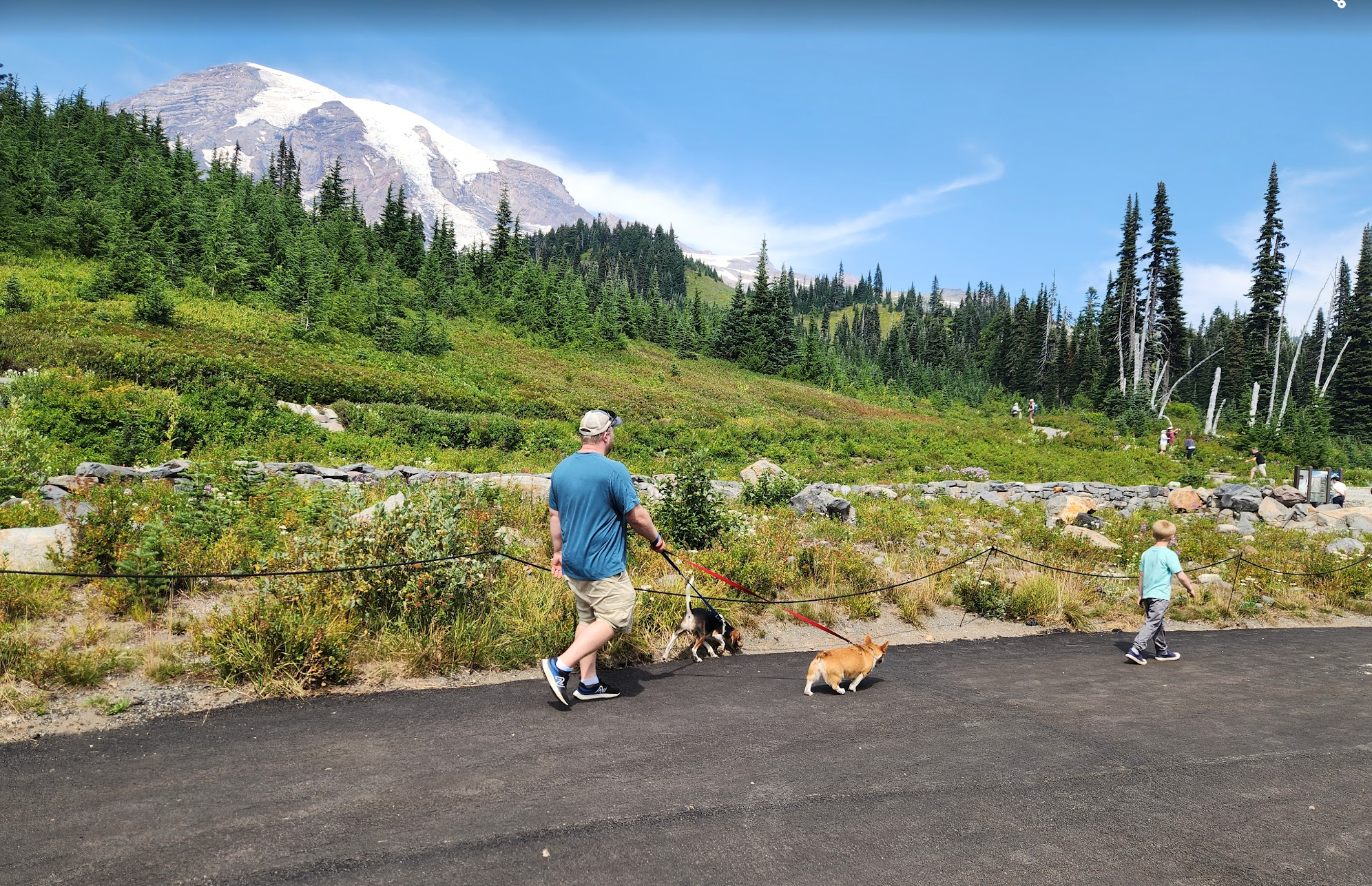 Father walking with son and two dogs along a paved path at Paradise in Mount Rainier National Park, with the mountain in the background.