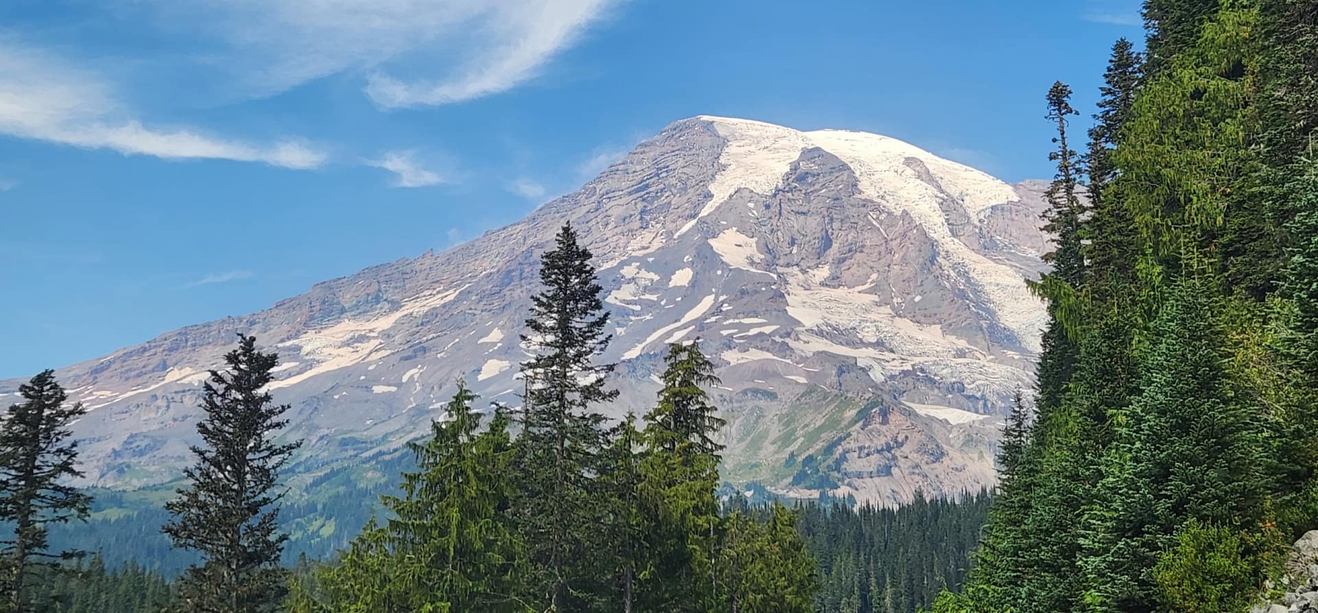 Family Mount Rainier Day Trip from Seattle (Dog-Friendly Guide)