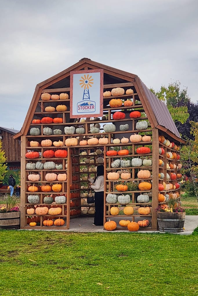 Pumpkin house display at Stocker Farms Fall Festival in Snohomish