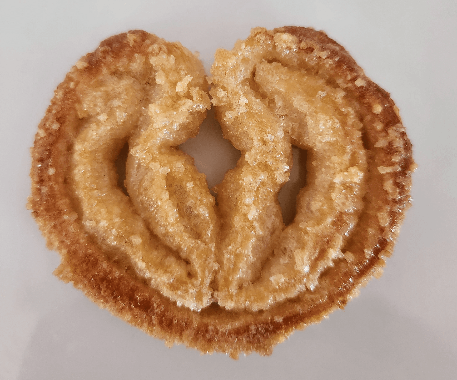 Close-up view of palmier cookie, with caramelized sugar