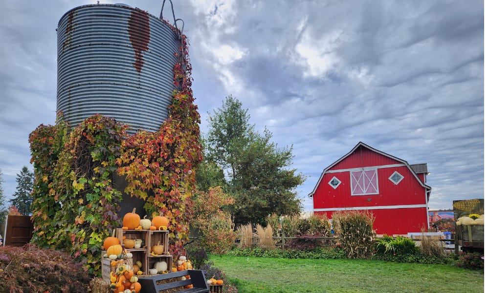 Silo with a pumpkin display and a red barn at Stocker Farms in Snohomish